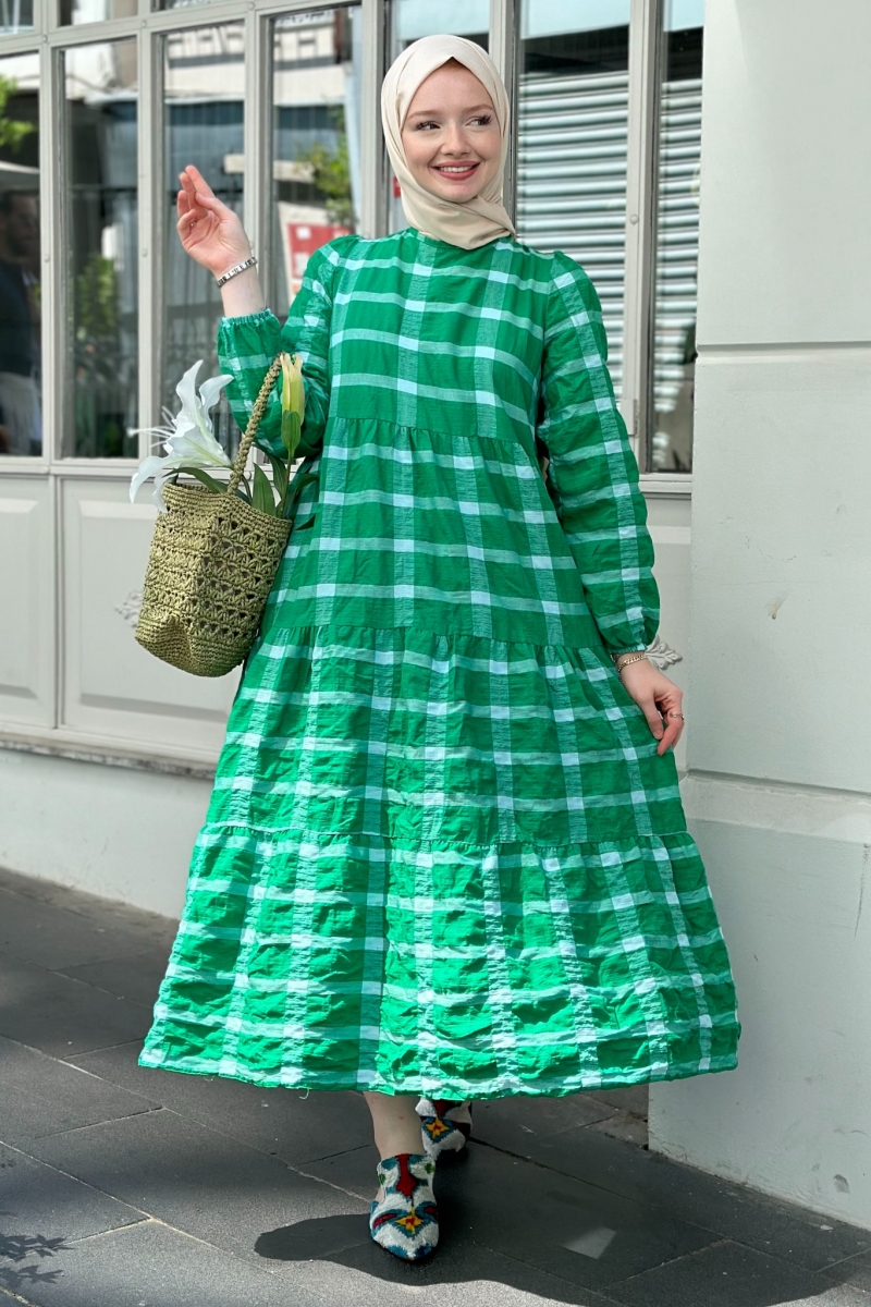 Aselya Green Dress